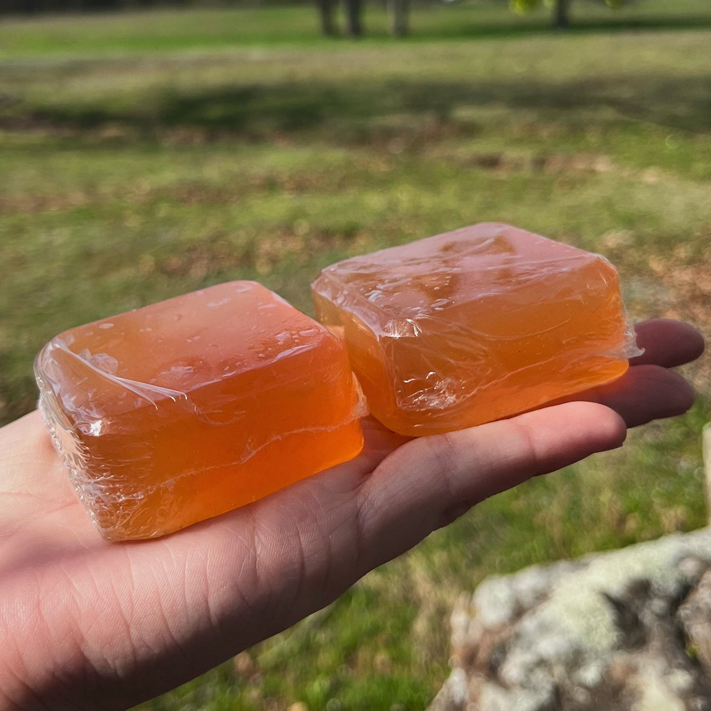 Manuka Honey Shampoo Bar