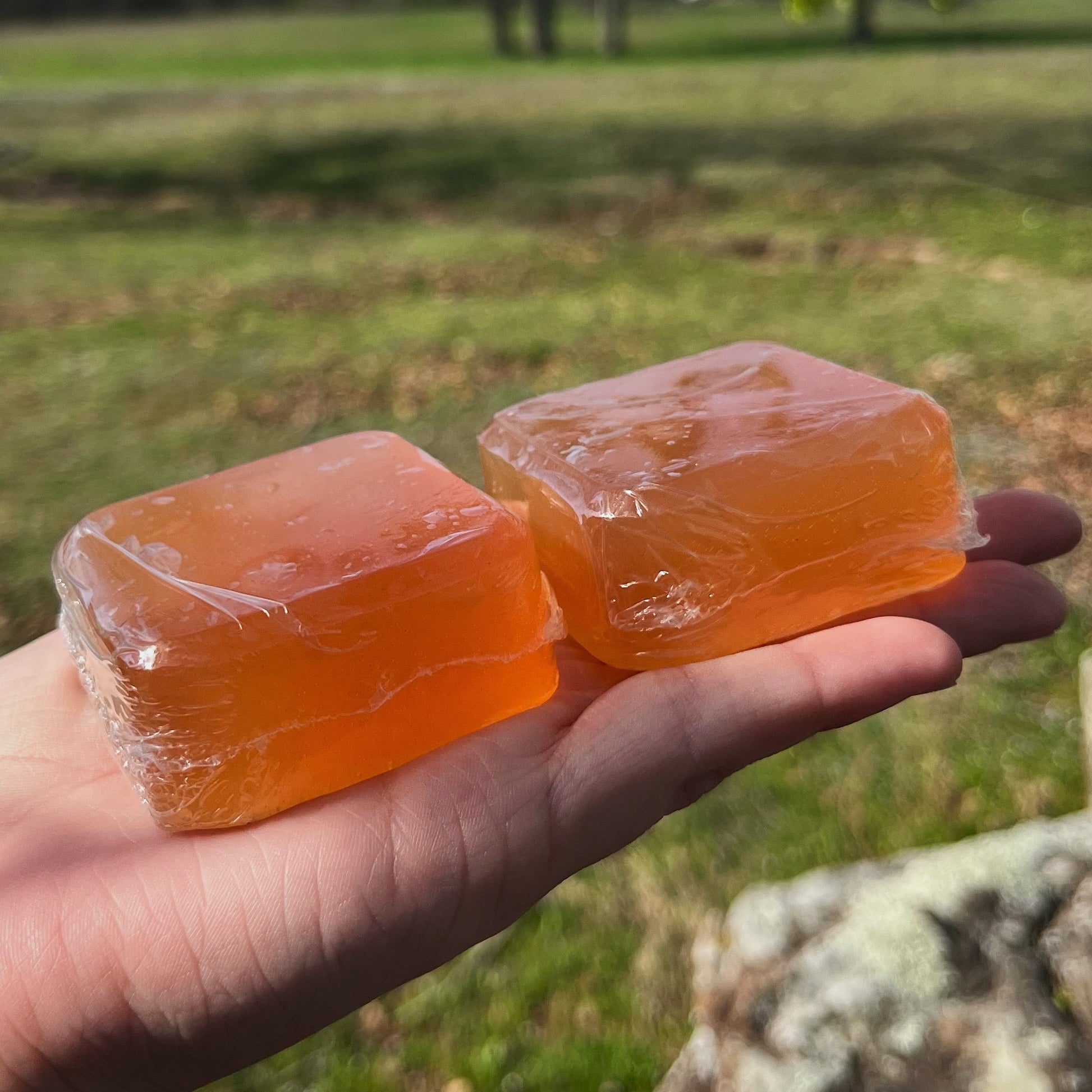 Manuka Honey Shampoo Bar